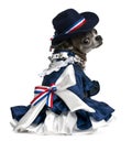 Chihuahua, 7 years old, dressed up and sitting Royalty Free Stock Photo