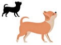 Chihuahua Dog Breed in Cartoon and Outline