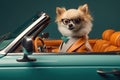 A chihuahua dog in a car driving in glasses, a stylish suit and a blue and orange car. Funny photo. Generative AI Royalty Free Stock Photo