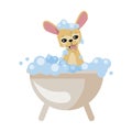 chihuahua dog cartoon bathing