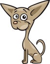 Chihuahua dog cartoon illustration