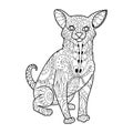 Chihuahua dog coloring book vector illustration