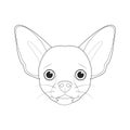 Chihuahua dog easy coloring cartoon vector illustration. Isolated on white background