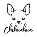 Chihuahua Dog Face Line Art Royalty Free Stock Photo