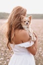 chihuahua dog in the hands of a girl in a field in the summer