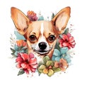 Chihuahua dog head and beautiful tropical flowers on white background. Mammals. Pet. Animals. Royalty Free Stock Photo