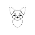 Chihuahua dog icon in line art style Royalty Free Stock Photo