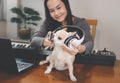Chihuahua dog listening to the music from headphones which his owner trying to put it on him. Playing with dog while learning