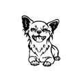 Chihuahua dog - Lying Chihuahua vector stock isolated illustration on white background.