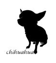 Chihuahua dog silhouette. Black outline of a sitting chihuahua. Inscription.
