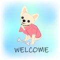 Chihuahua dog Sitting image graphics design