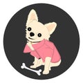 Chihuahua dog Sitting image graphics design vector