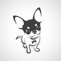 Chihuahua dog - vector illustration Royalty Free Stock Photo