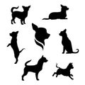 Chihuahua dog vector silhouettes