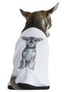 Chihuahua dressed with a t-shirt with a photo