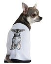 Chihuahua dressed with a t-shirt with a photo