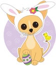 Chihuahua Easter