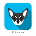 Chihuahua face flat icon design, vector illustration