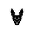 Chihuahua face icon. Popular Breed of dogs element icon. Premium quality graphic design icon. Dog Signs and symbols collection ico