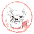 Chihuahua hand drawn portrait in pink frame