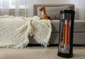 Chihuahua in living room, focus on modern electric halogen heater Royalty Free Stock Photo