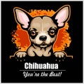 Chihuahua - Peeking Dogs - breed face head isolated on black