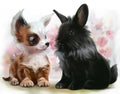 Chihuahua puppy and black rabbit Royalty Free Stock Photo