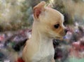 Chihuahua puppy on impressionistic background