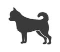 Chihuahua silhouette. Graphic drawing dog, canine symbol, vector icon