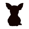 Chihuahua Silhouette Vector Found In Map of South America