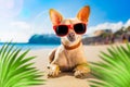 Chihuahua summer dog Royalty Free Stock Photo