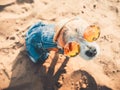 Chihuahua wearing sunglasses and straw hat sits on a beach by the river enjoying the sun. Fashionable dog dressed in a