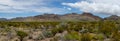 Chihuahuan Desert Panorama Royalty Free Stock Photo