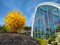 Chihuli museum Seattle