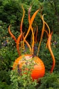 Chihuly Blown Glass Exhibit Seattle in Vivid Orange