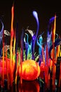 Chihuly Garden and Glass