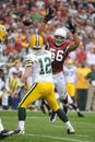 Chike Okeafor (56) Linebacker for the Arizona Cardinals. Royalty Free Stock Photo