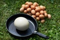 Chiken eggs and ostrich egg on pan Royalty Free Stock Photo