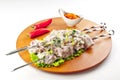 Chiken shish kebab Royalty Free Stock Photo