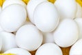 Chiken white eggs close up. farm chicken ecologic eggs Royalty Free Stock Photo