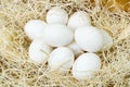 Chiken white eggs close up. farm chicken ecologic eggs Royalty Free Stock Photo