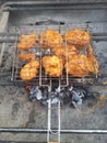 Chiken wings and kebabs and on BBQ Royalty Free Stock Photo