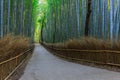 Chikurin-no-Michi at Arashiyama in Kyoto Royalty Free Stock Photo