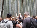 Arashiyama /kyoto, Japan - April 12, 2018 : Chikurin-no-Michi Bamboo Grove and group of tourism Royalty Free Stock Photo