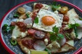 Chilaquiles Mexican tortilla with tomato salsa, chicken and egg close-up on a plate. Horizontal view from above Royalty Free Stock Photo