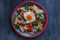 Chilaquiles Mexican tortilla with tomato salsa, chicken and egg close-up on a plate. Horizontal view from above Royalty Free Stock Photo