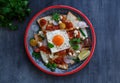 Chilaquiles Mexican tortilla with tomato salsa, chicken and egg close-up on a plate. Horizontal view from above Royalty Free Stock Photo