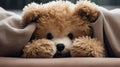 Child abuse concept. Teddy bear covering eyes Royalty Free Stock Photo