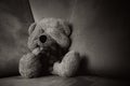 Child abuse concept. Teddy bear sits on the sofa Royalty Free Stock Photo