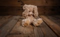 Child abuse.Teddy bear covering eyes, dark empty background, copy space Royalty Free Stock Photo